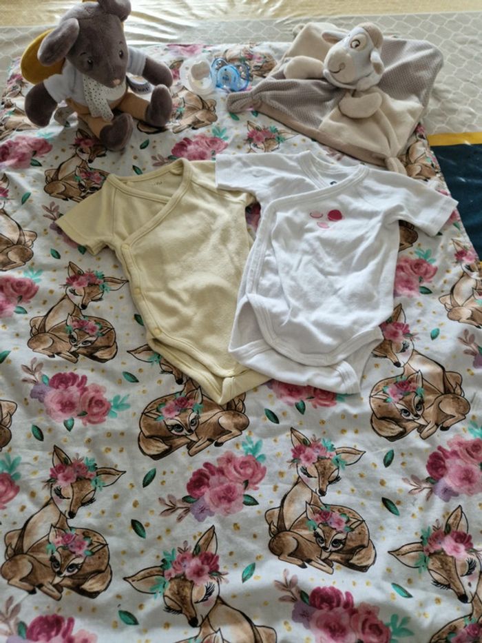 Lot 2 body