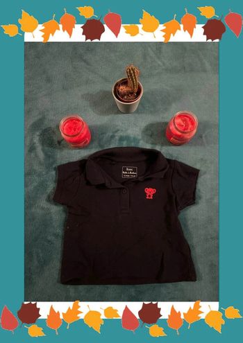 Polo boîte à malices taille 12 mois