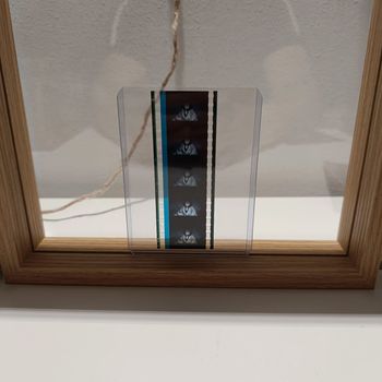 Pellicule démon slayer kagaya