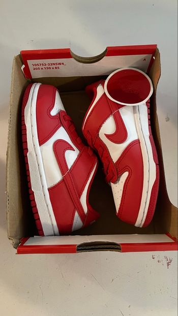 Baskets Nike Dunk Low Enfant