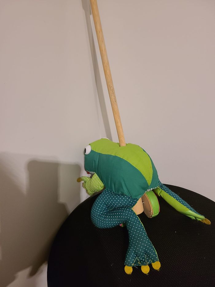 grenouille - photo numéro 3