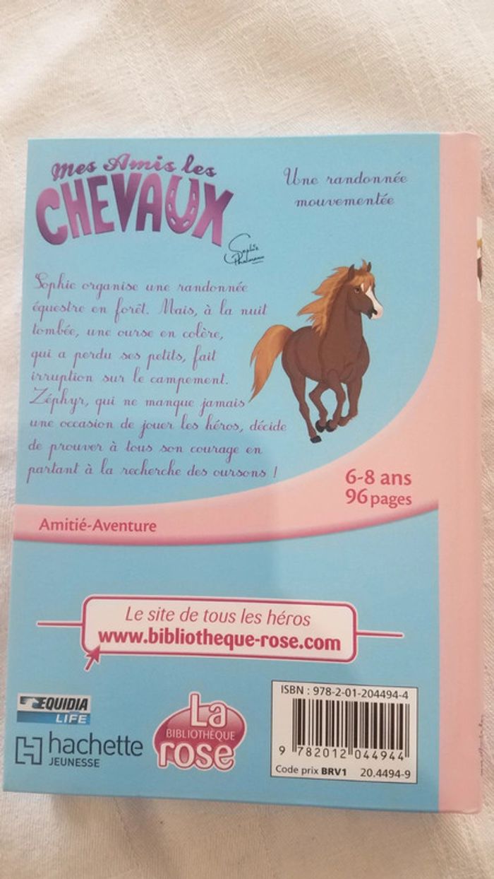 Mes amis les chevaux. Une randonnée mouvementée. - photo numéro 2