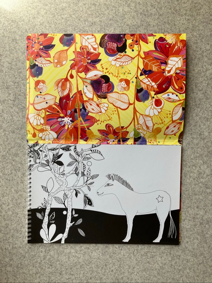 Lot de 3 livres d’activités et coloriages enfants (3€) - photo numéro 6