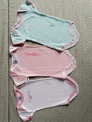 Lot de 3 bodies MC Petit Bateau 12 mois