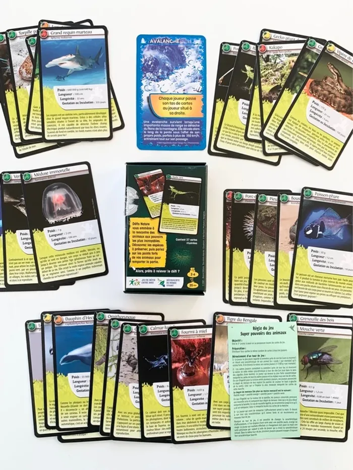 Jeu défis nature - Super pouvoirs des animaux - photo numéro 3