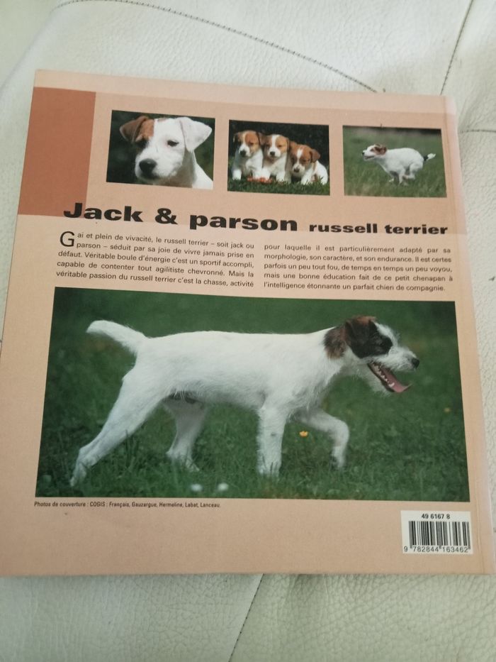 Jack et Russell terrier - photo numéro 2