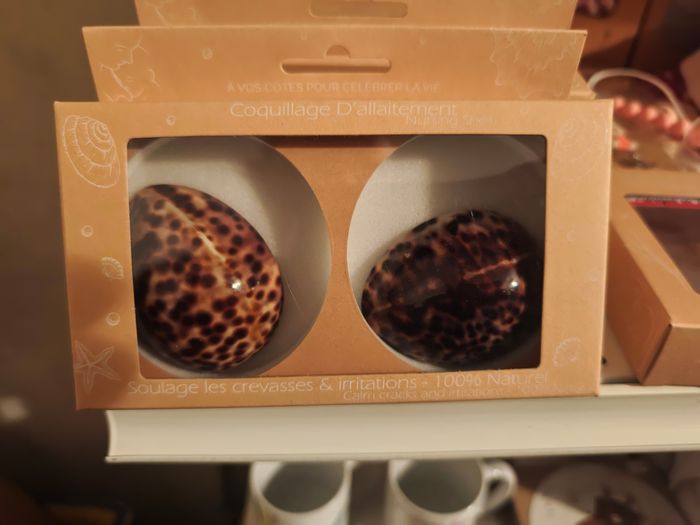 Coquillage d'allaitement