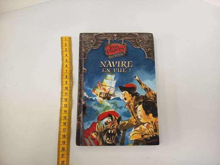 Livre roman tous pirates ! Navire en vue! - photo numéro 1