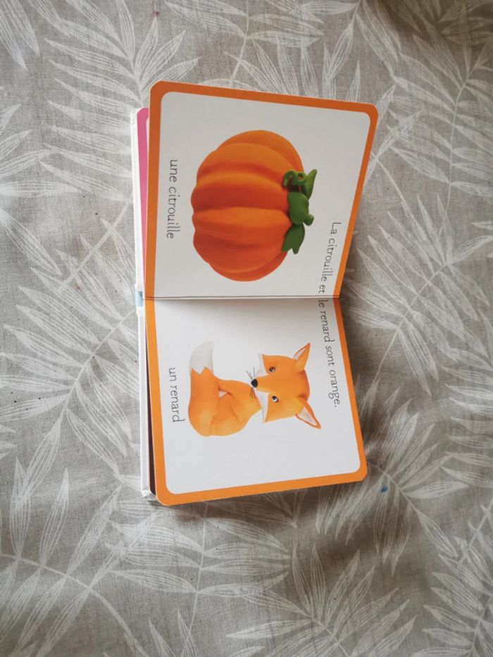 Livre des couleurs - photo numéro 8