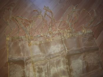 Lot de 2 voilages jaunes en organza