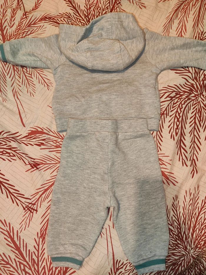 Ensemble dino - photo numéro 4