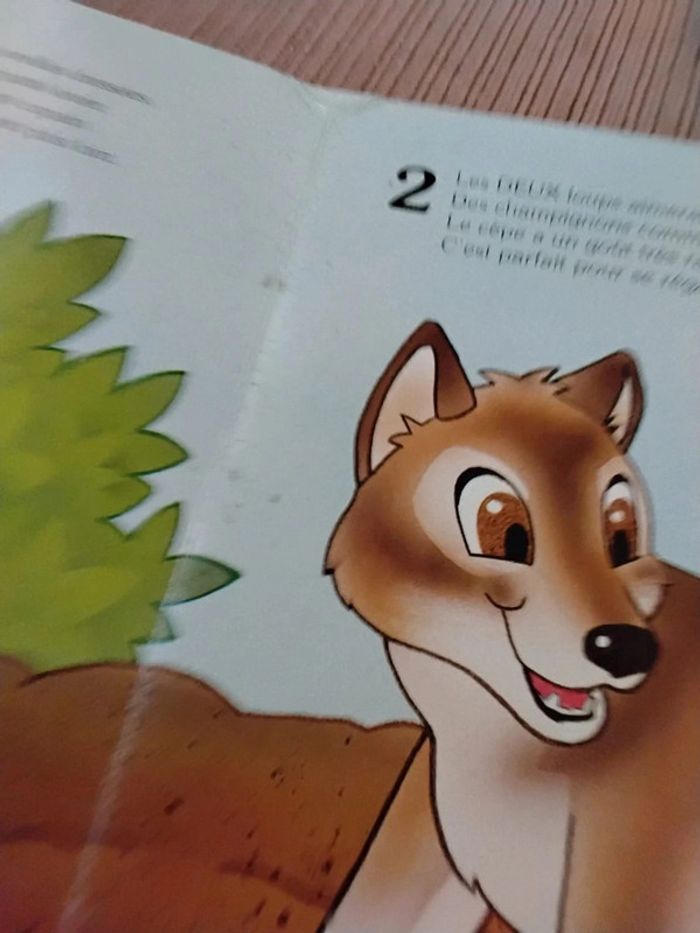 Lot bébé Koala + Bambi + loups - photo numéro 15