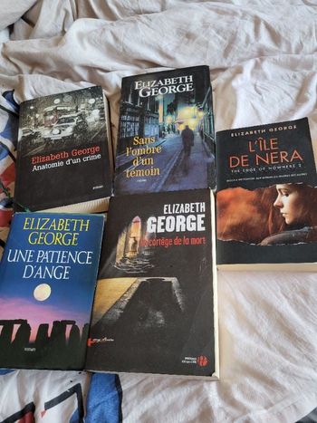 Romans d Elizabeth George