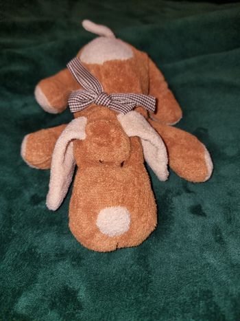 Peluche Chien Nicotoy 