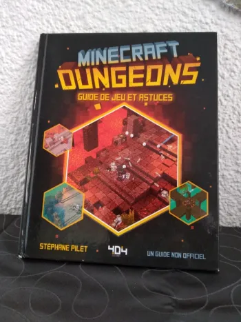 Livre Minecraft dungeons