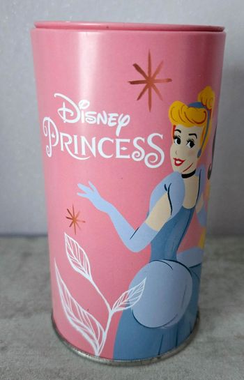Tirelire Princesse Disney
