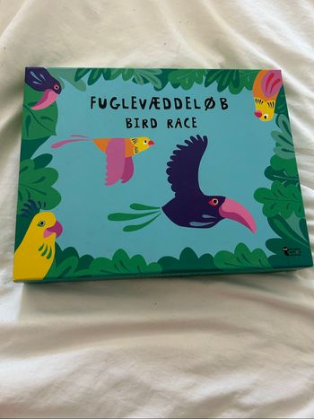 Jeu Bird Race ou course des oiseaux