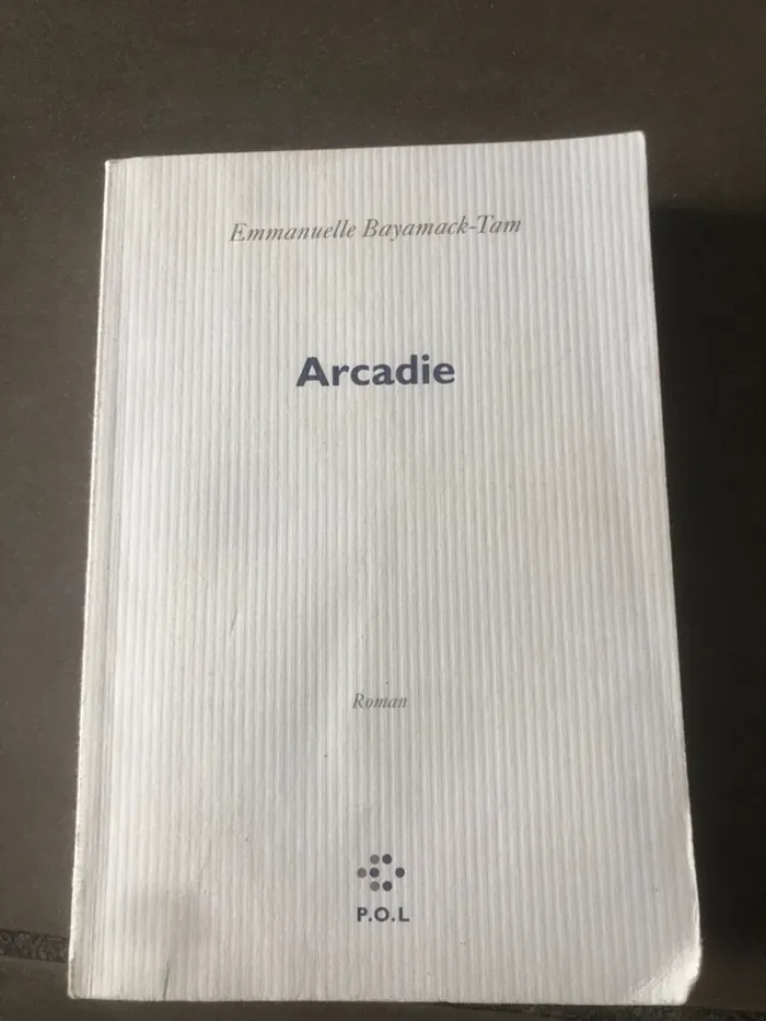 Livre arcadie 📕 - photo numéro 2