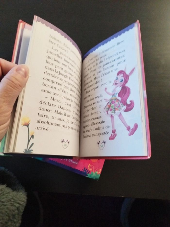 Lot 4 livres Enchantimals - photo numéro 13