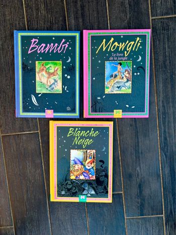 Lot de Jolies Livres de Contes pour Enfants