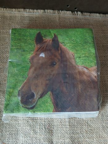 27 serviettes en papier chevaux