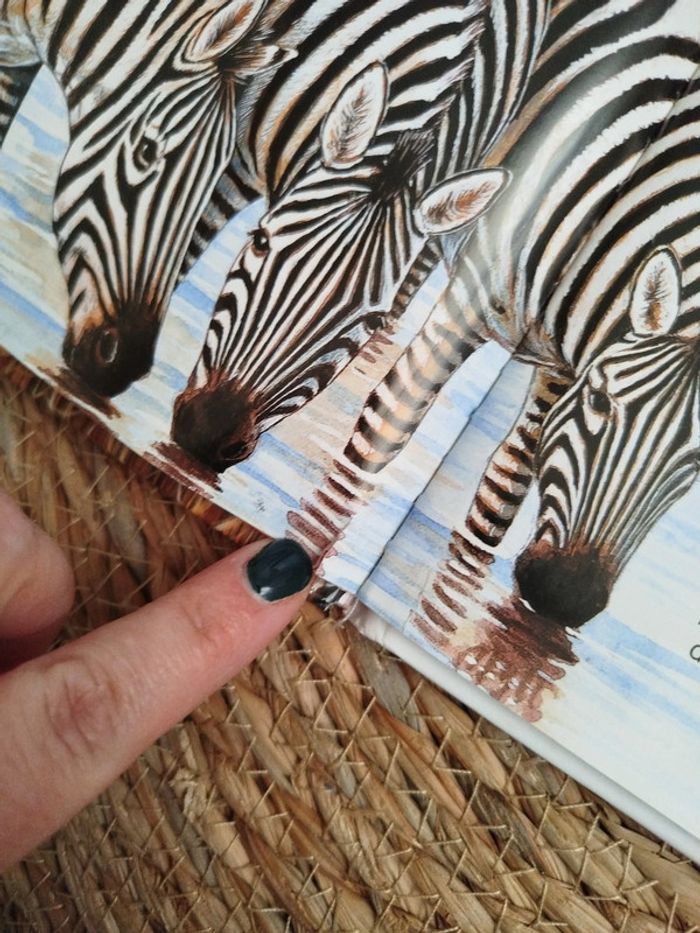 Livre animaux de la savane - photo numéro 3