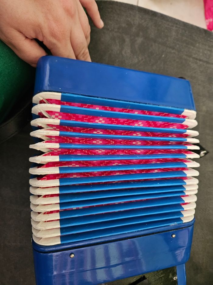 Accordéon - photo numéro 8