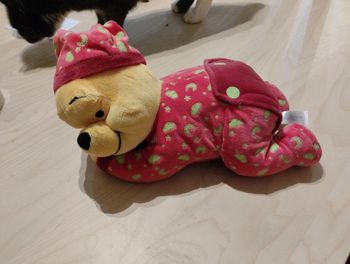 Peluche Winnie