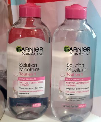 Garnier eau micellaire lot de 2