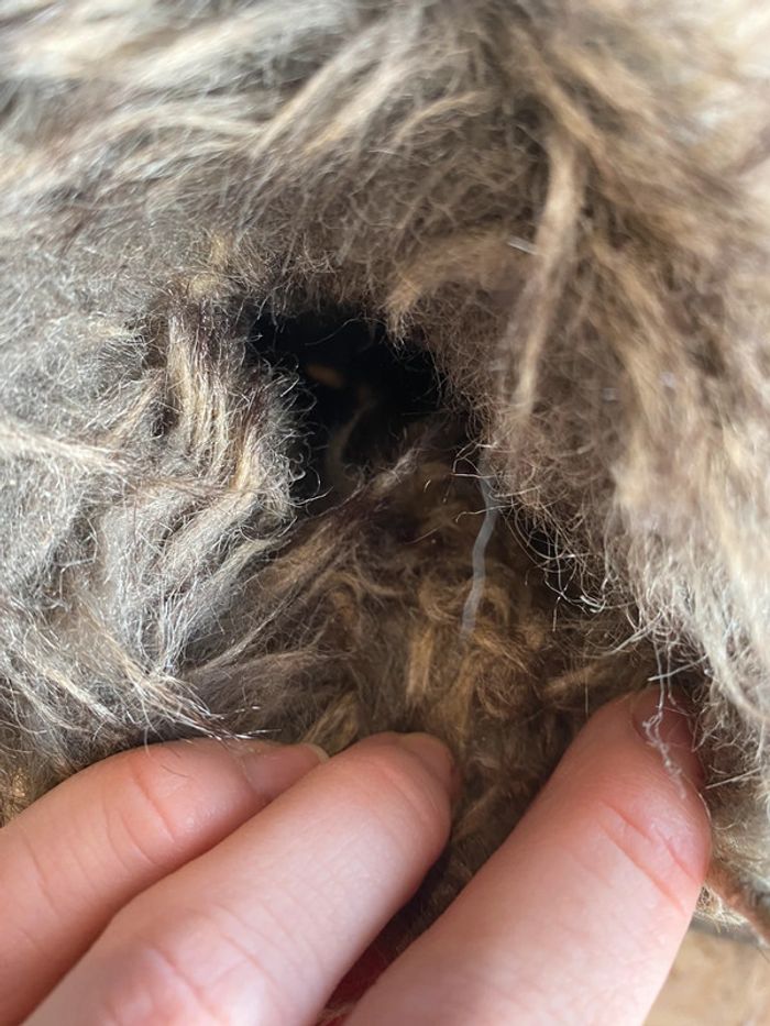 Bottines taille 36 - photo numéro 6