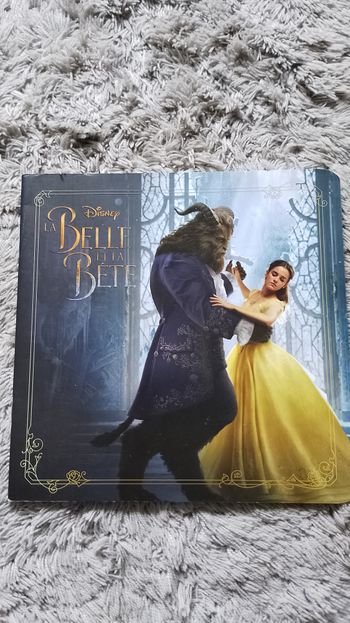 Livre la belle et la bête