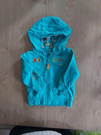 Veste à capuche garçon T.9mois (orchestra)