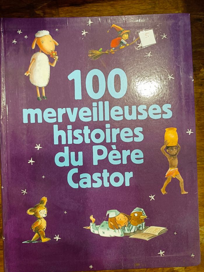 Les 100 merveilleuses histoires du père Castor
370 pages