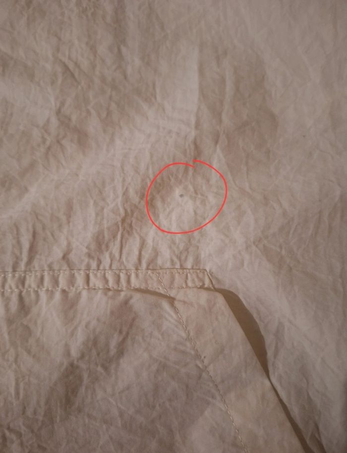 Blouson écru court zippé avec une capuche taille 38 - photo numéro 6