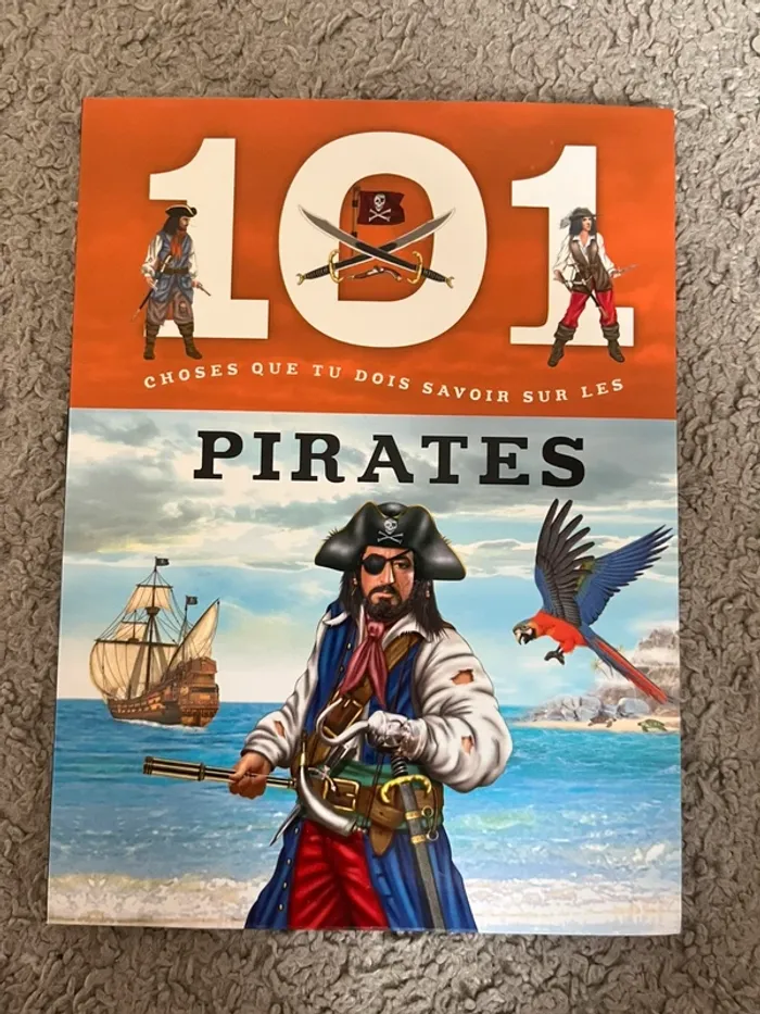 101 choses que tu dois savoir sur les pirates