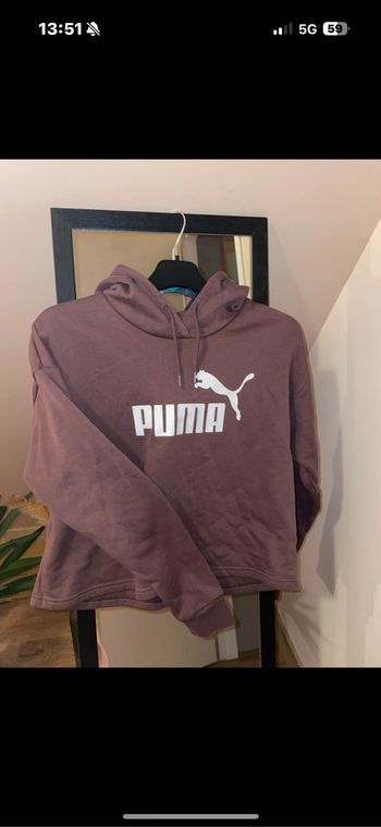 Sweat puma