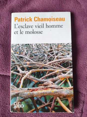 L'esclave vieil homme et le molosse