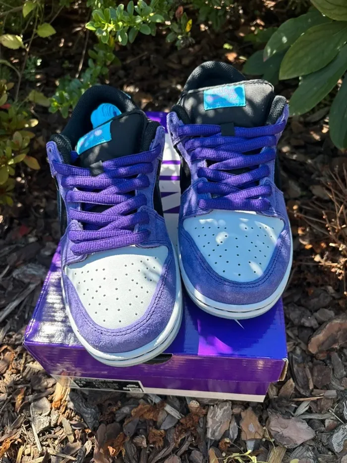 Nike Dunk SB Hayley Wilson 39 - photo numéro 3