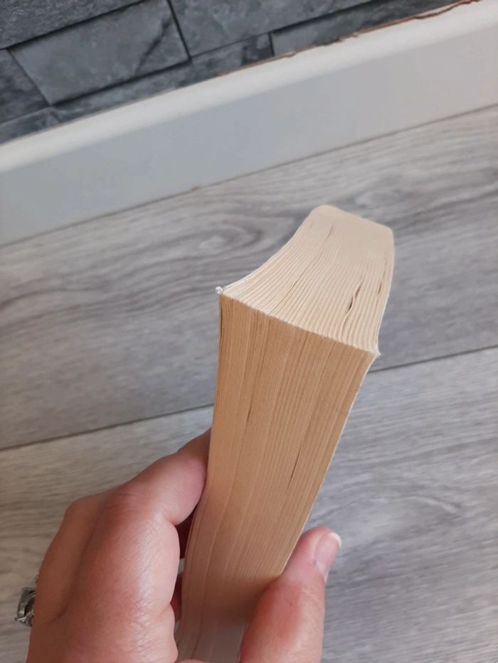 Livre déception point - photo numéro 3