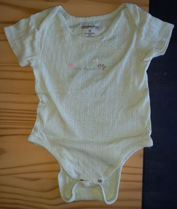 Body manche courte bébé