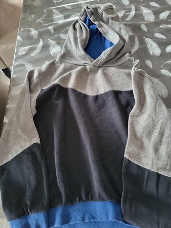 Sweat-shirt à capuche