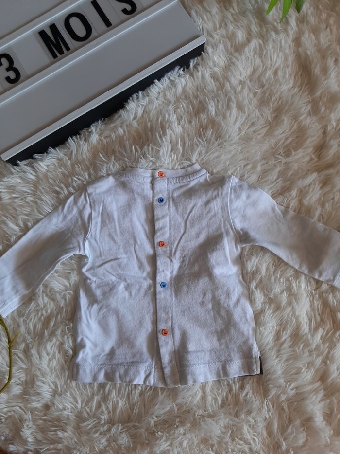 Haut dinosaures - photo numéro 3