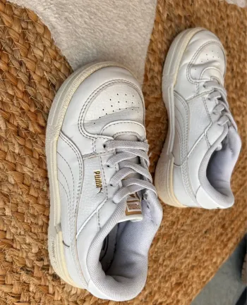 Basket puma