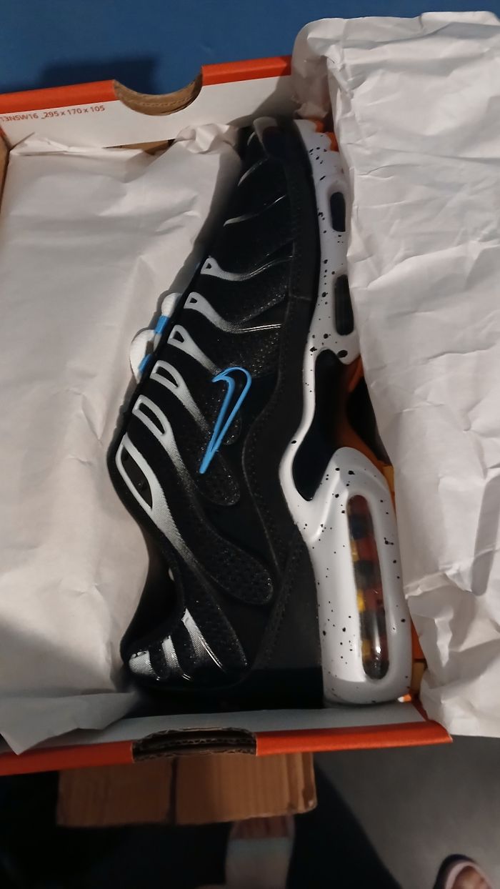 Basket tn - photo numéro 2