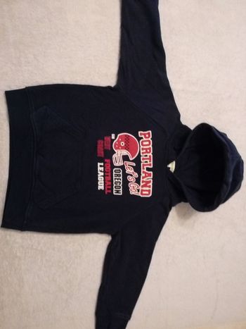 Sweat à capuche Vertbaudet 4 ans (réf perso P18)(familleac72)