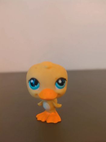 littlest pet shop canard