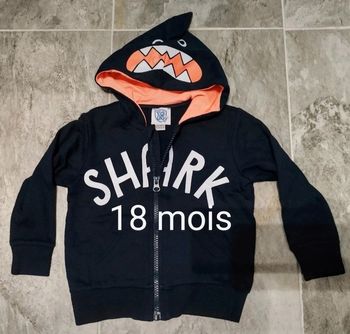 Veste requin