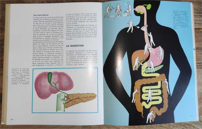 Encyclopédie Médicale de la Famille Vol. 1 Lidis - photo numéro 4