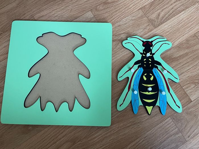 Puzzle Zoologie Montessori : La guêpe - photo numéro 5