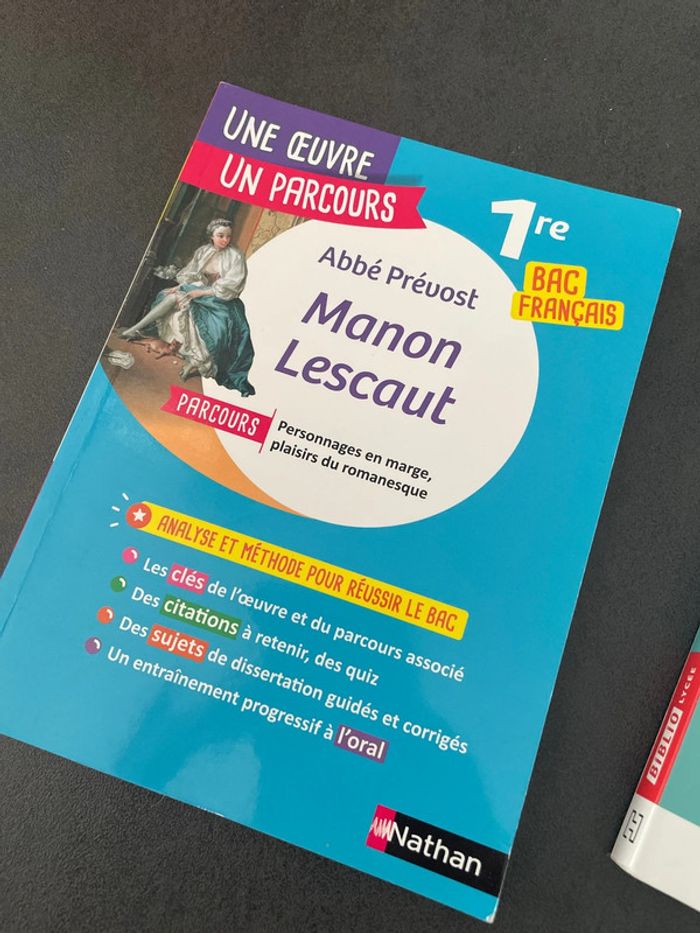 Manon Lescaut étude livre analyse lot première bac français lycée - photo numéro 3